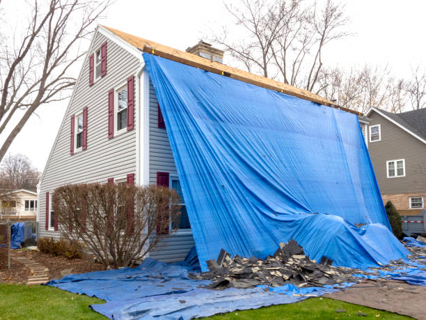 Best Same-Day Junk Removal Services  in South Hill, NY